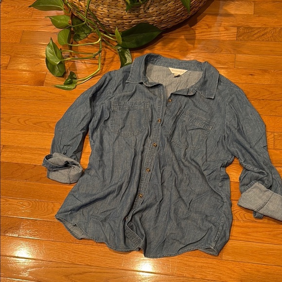 Christopher & Banks Blue Button Down Shirt - Picture 1 of 5